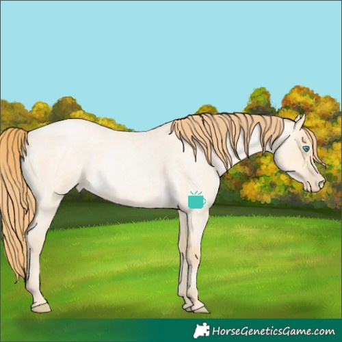 Horse Color:Buckskin Roan Pearl Dun