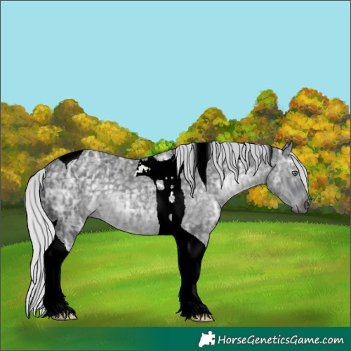 Horse Color:Silver Black Chinchilla Ice Tobiano