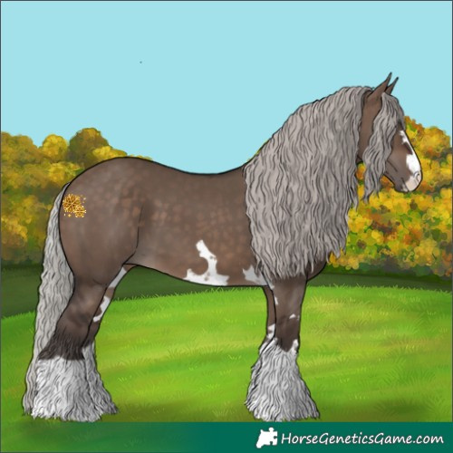 Horse Color:Silver Brown Dun