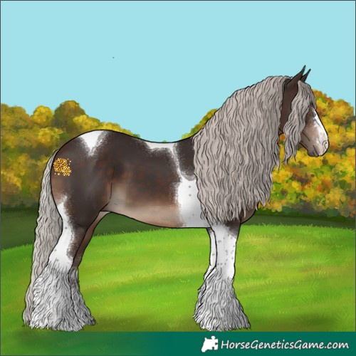 Horse Color:Silver Brown Tobiano 