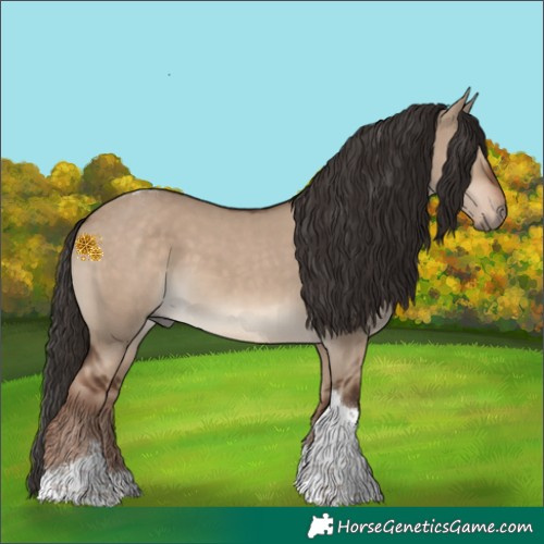 Horse Color:Liver Red Dun Tobiano Rabicano