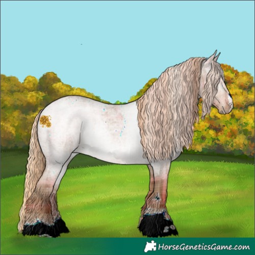 Horse Color:Plaid Red Roan