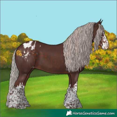 Horse Color:White Spotted Chocolate Silver Brown Appaloosa