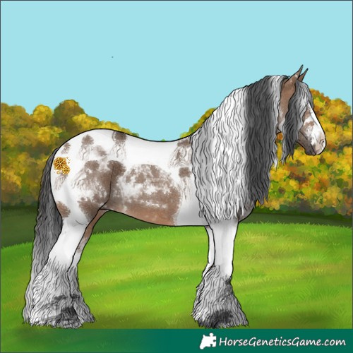 Horse Color:Brown Dun Tobiano 