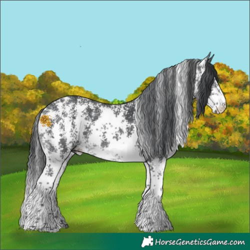 Horse Color:Brown Chinchilla Sabino 