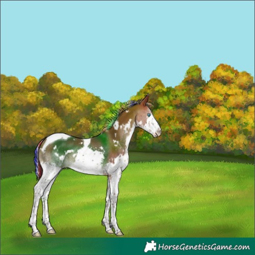 Horse Color:Painted White Spotted Silver Brown Splash Tobiano 