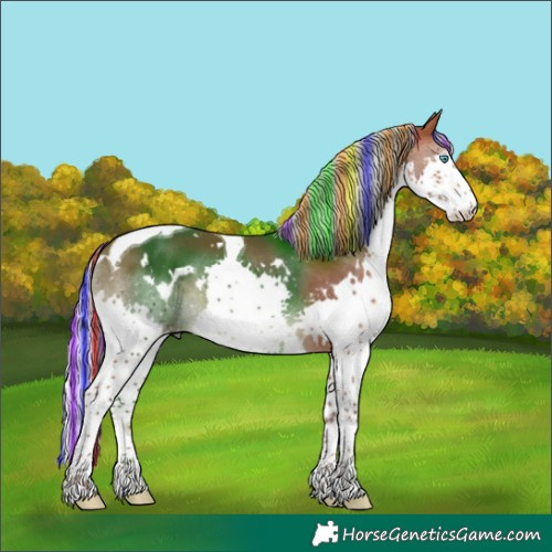 Horse Color:Painted White Spotted Silver Brown Splash Tobiano 