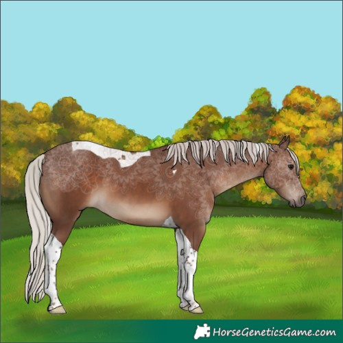 Horse Color:Silver Black Tobiano 