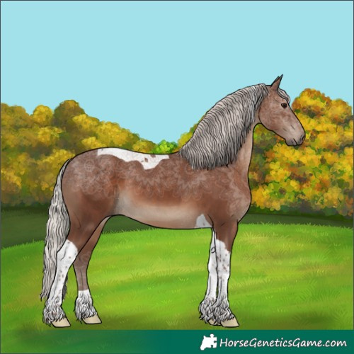 Horse Color:Silver Black Tobiano