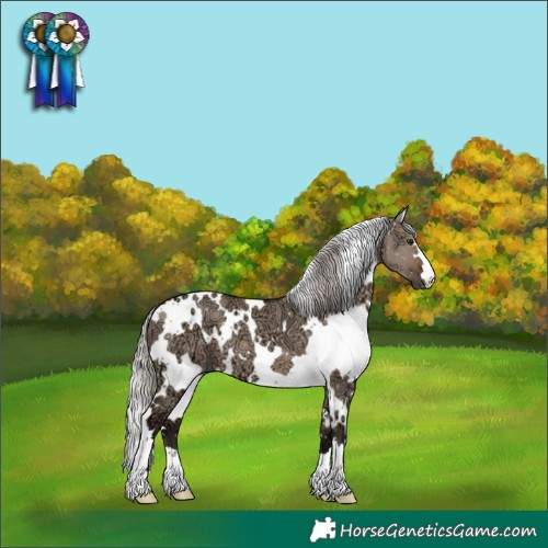 Horse Color:White Spotted Silver Brown Ice Dun