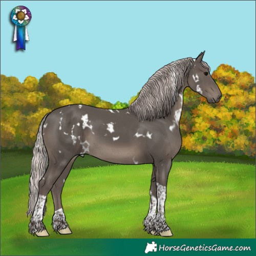 Horse Color:White Spotted Silver Black Tobiano 