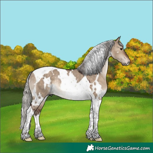 Horse Color:White Spotted Silver Brown Dun Tobiano Rabicano