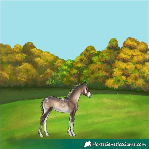 Horse Color:Painted Silver Blue Onyx Tobiano 