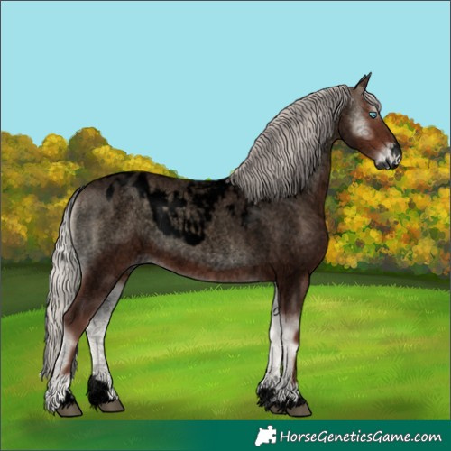 Horse Color:Void Silver Blue Onyx Roan Splash Skewed LP Spotted