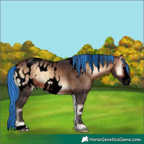 Horse Color:Void Painted Bay Onyx Frame Skewed Appaloosa