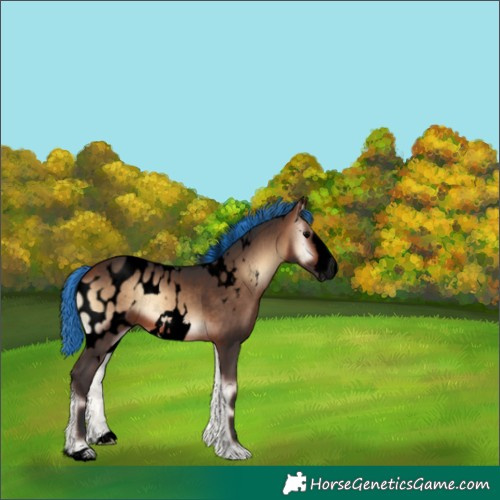 Horse Color:Void Painted Bay Onyx Frame Skewed Appaloosa 