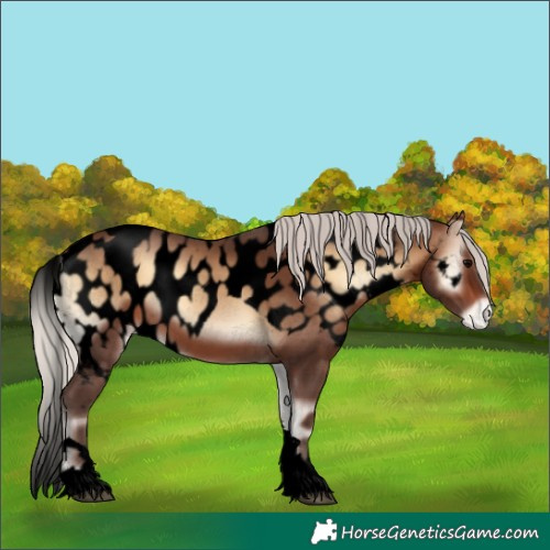 Horse Color:Void Silver Brown Onyx Tobiano Skewed LP Spotted