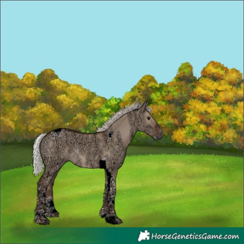 Horse Color:Silver Grullo Ice Tobiano Rabicano 