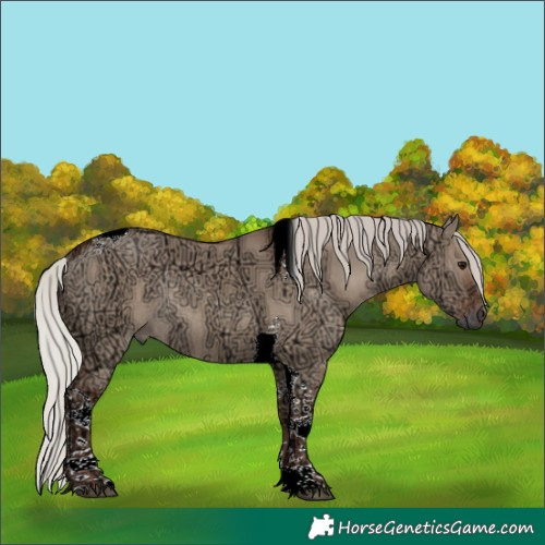 Horse Color:Silver Grullo Ice Tobiano Rabicano 