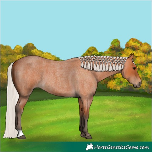 Horse Color:Silver Bay Roan