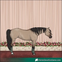 Horse Color:Liver Red Dun Rabicano 