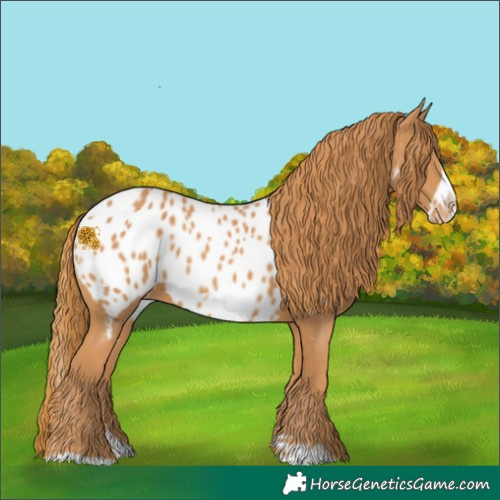 Horse Color:Chestnut Splash Frame Near Leopard 