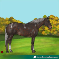 Horse Color:Powder White White Spotted Silver Brown 
