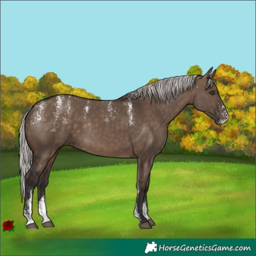 Horse Color:Powder White Silver Brown Dun Rabicano