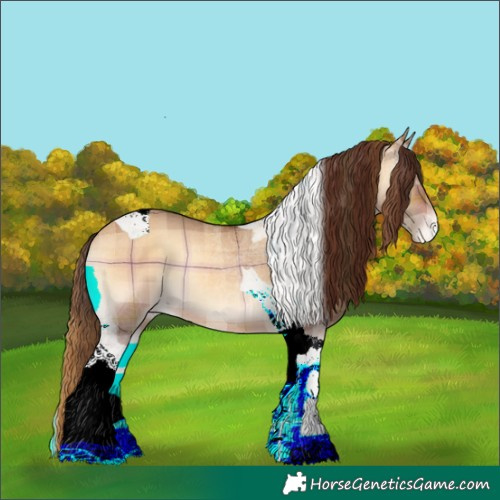 Horse Color:Plaid Bay Onyx Tobiano Appaloosa