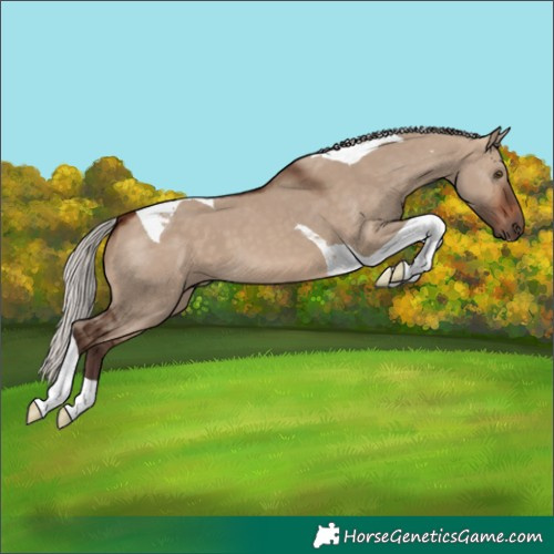 Horse Color:Silver Brown Dun Tobiano