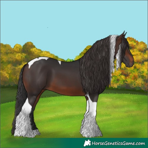 Horse Color:Brown Tobiano 