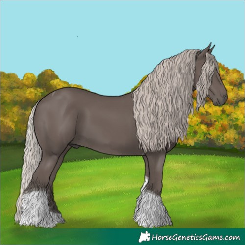 Horse Color:Silver Black Tobiano 