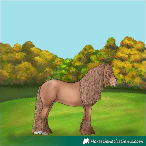 Horse Color:Gold Champagne 