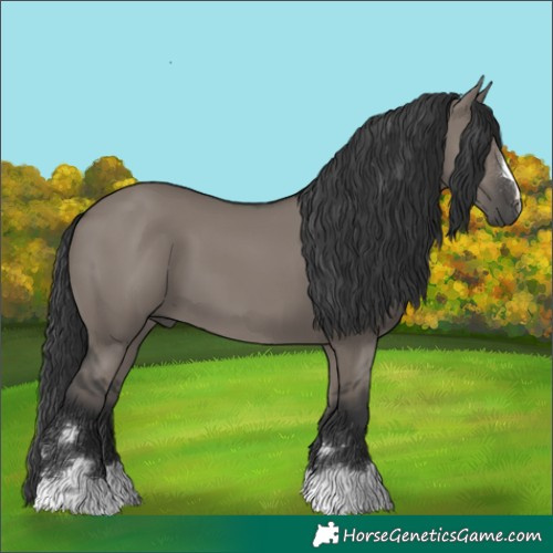 Horse Color:Grullo 