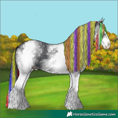 Horse Color:Painted White Spotted Black Splash Appaloosa 