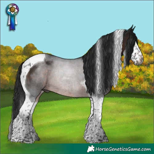 Horse Color:Gray Brown Splash Tobiano Rabicano 