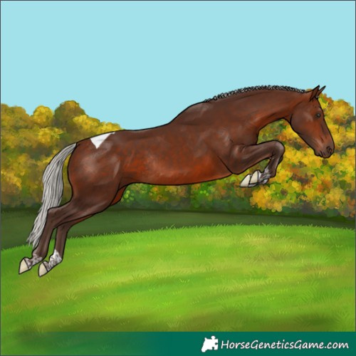 Horse Color:Silver Brown Tobiano Rabicano 