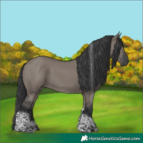Horse Color:Grullo Tobiano