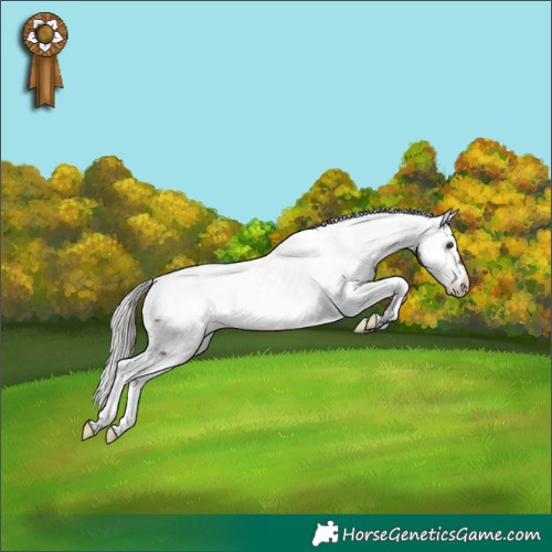 Horse Color:White Spotted Silver Brown Dun Tobiano Appaloosa
