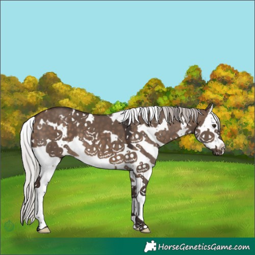 Horse Color:White Spotted Silver Brown Dun Splash