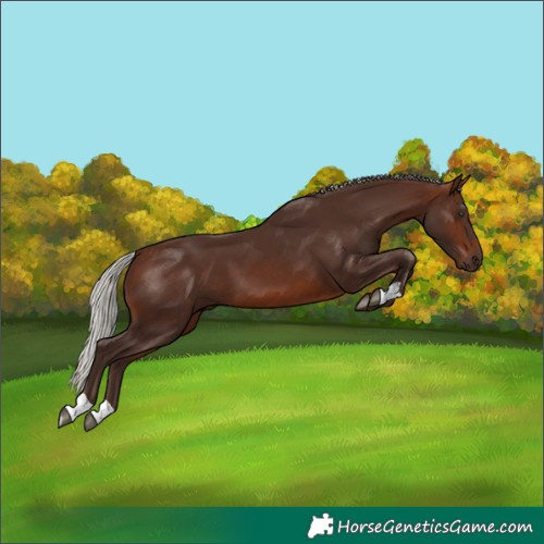 Horse Color:Silver Brown