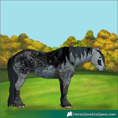 Horse Color:ERROR: UNKNOWN ANOMALY