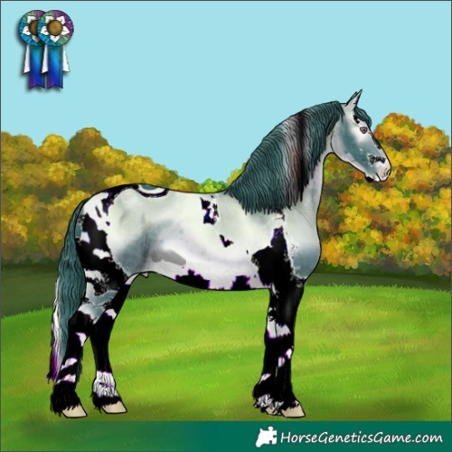 Horse Color:ERROR: UNKNOWN ANOMALY