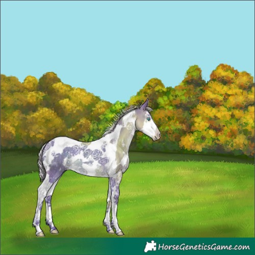 Horse Color:Watercolor White Spotted Silver Brown Splash Tobiano 