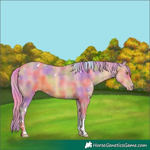 Horse Color:Nacre Watercolor White Spotted Sable Champagne Tobiano Rabicano 