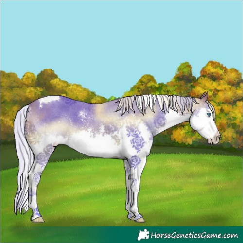 Horse Color:Watercolor Silver Brown Sabino Splash Tobiano
