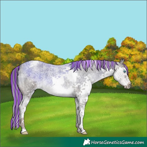 Horse Color:Platinum Painted Liver Red Roan Splash Tobiano Rabicano