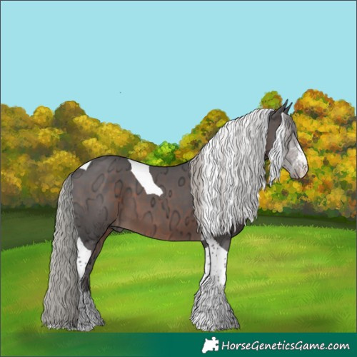 Horse Color:Silver Brown Ice Sabino Tobiano 