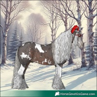 Horse Color:White Spotted Silver Brown Ice Tobiano 