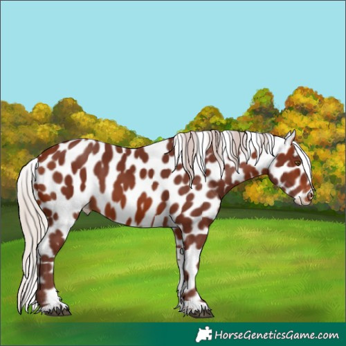 Horse Color:Chocolate Silver Brown Tobiano Skewed LP Spotted